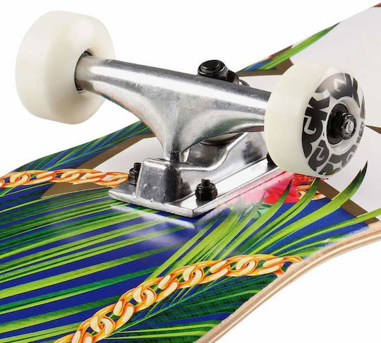 DGK Vacation Complete Shortboard 7.5" Multicolour