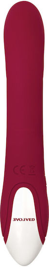 Evolved Novelties Inflatable Bunny Vibrator Vibrator Iepurele Roșu