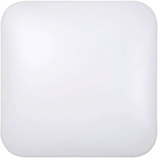 Rabalux Rob Platz Draußen LED Panel 32W mit Warmes Weiß Licht