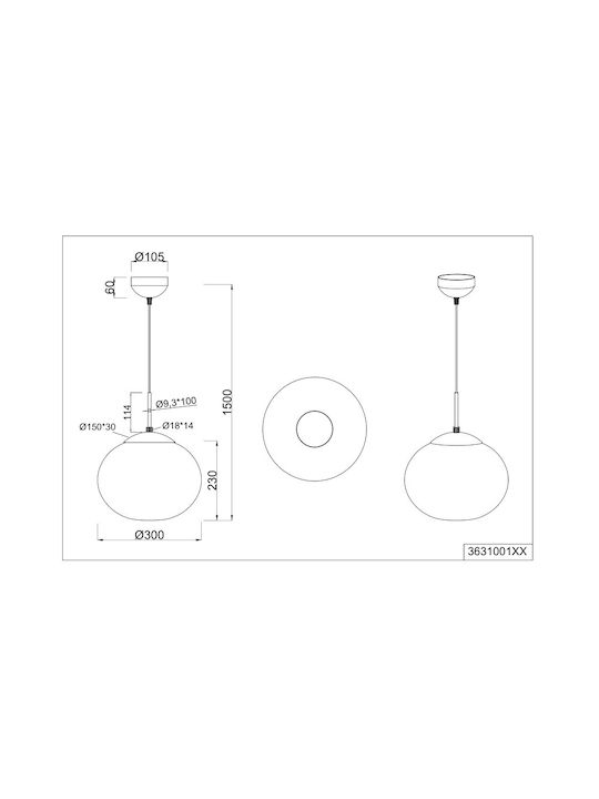 Trio Lighting Pendant Light 30x150cm