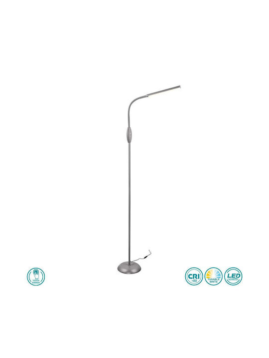 Trio Lighting LED Floor Lamp H145xW21cm. Gray