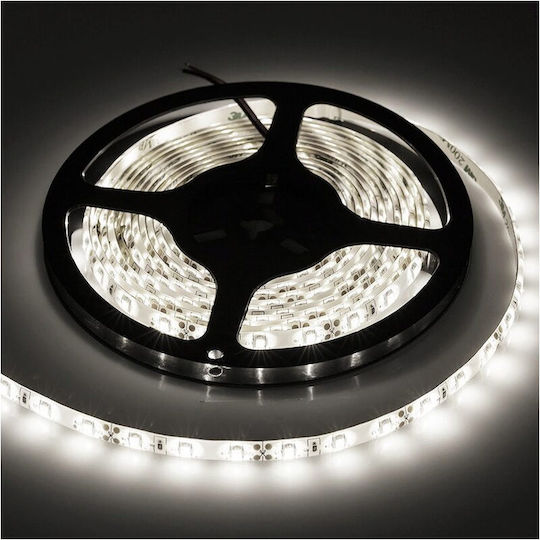 Wasserdicht LED-Streifen 12V Natürliches Weiß Licht 5m Typ SMD5050