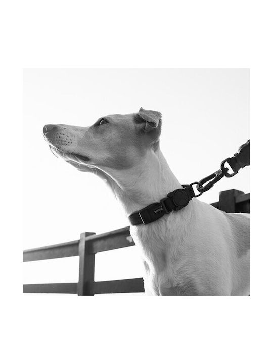 Нашийник за кучета Zee Dog Gotham 45-70см X 2.5см L