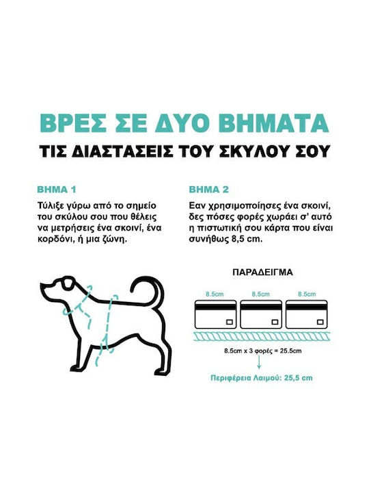 Нашийник за кучета Zee Dog Gotham 45-70см X 2.5см L