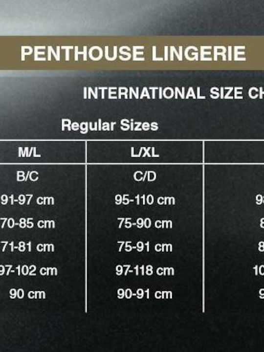 Penthouse Perfect Lover Teddy Sexy Κορμάκι με Δαντέλα White