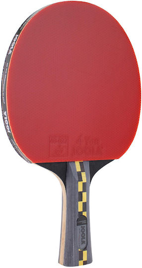 Joola Carbon Pro Ping Pong Racket for Professional Players