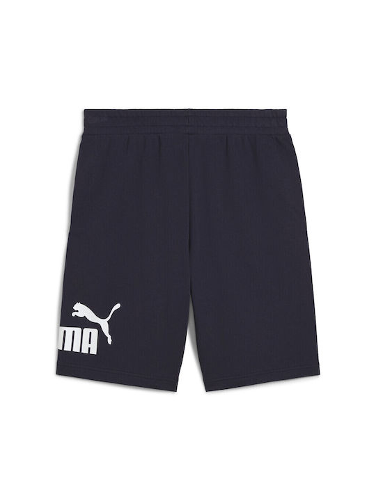 Puma Men's Shorts Blue