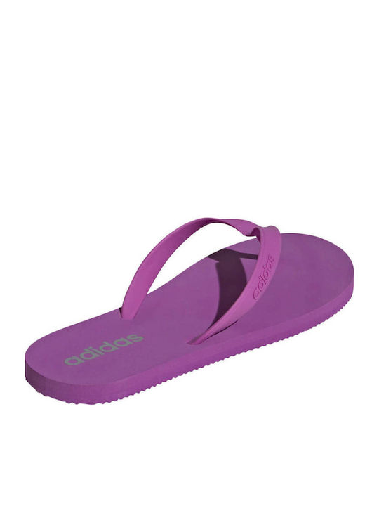 Keitaki Alpha Ανδρικά Flip Flops Μωβ