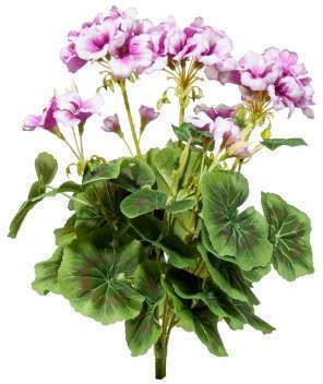 Geranium Bouquet A21316 Red