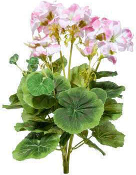 Geranium Bouquet A21316 Red