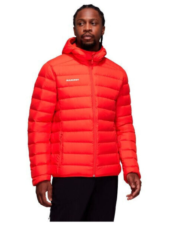 Mammut Mammut