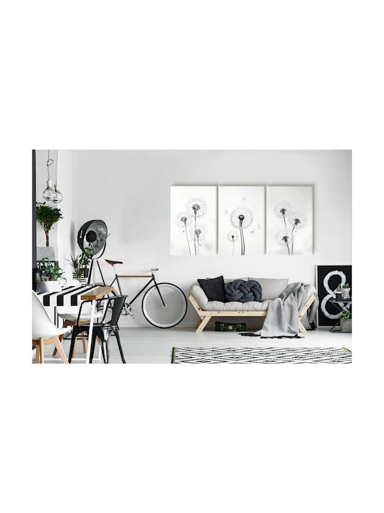 Leinwandbilder Wohnzimmer Modernes Triptychon Schwarz-Weiß 60x120cm