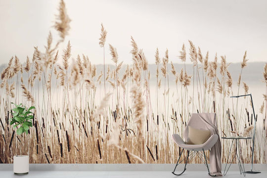 Modern Wallpaper Living Room Wallpaper Pampas Grass Boho Beige 260x390