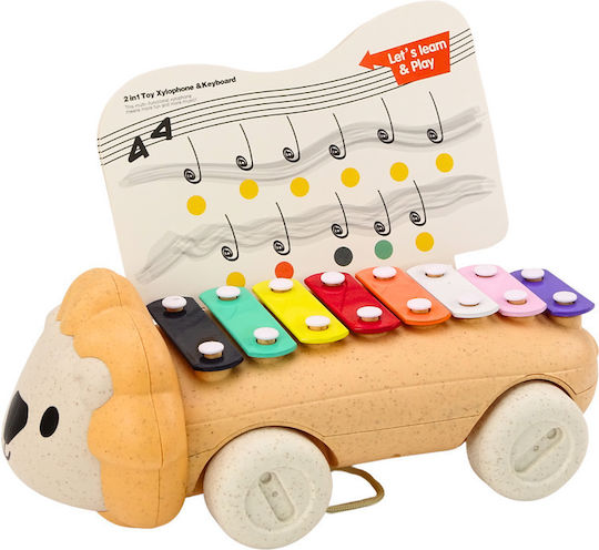 Xylophone