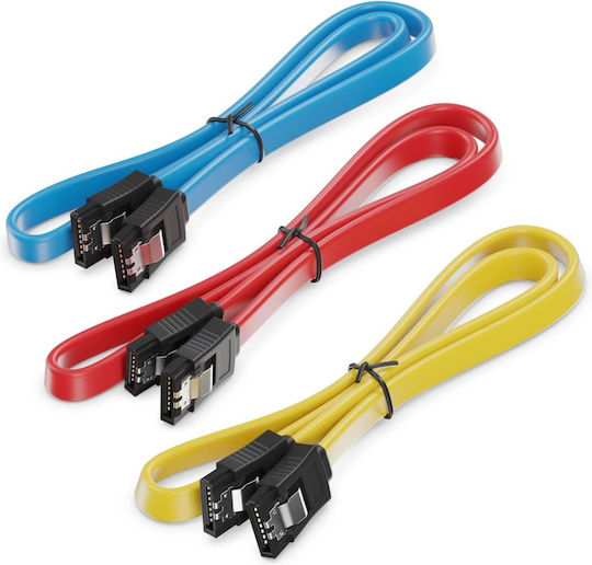 Deleycon Sata Cable 3x 0.5m Straight Multicolor