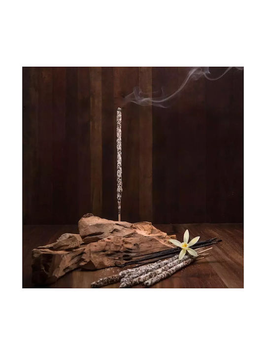 Palo Santo Vanilla Incense Sagrada Madre Premium Incense 8pcs