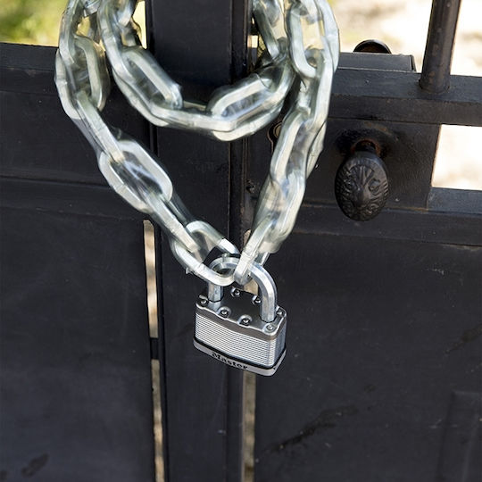 Master Lock Ατσάλινο Λουκέτο Πέταλο με Κλειδί 45mm Ασημί