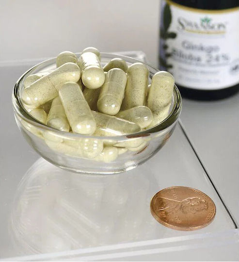 Swanson Ginkgo Biloba Extract 60mg 30 caps