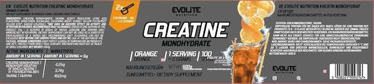 Evolite Creatine Monohydrate Orange 500gr