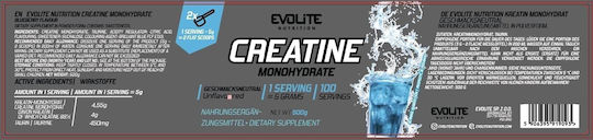 Evolite Creatine Monohydrate Orange 500gr