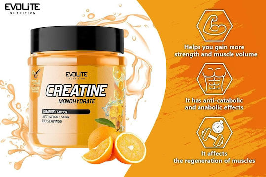 Evolite Creatine Monohydrate Orange 500gr