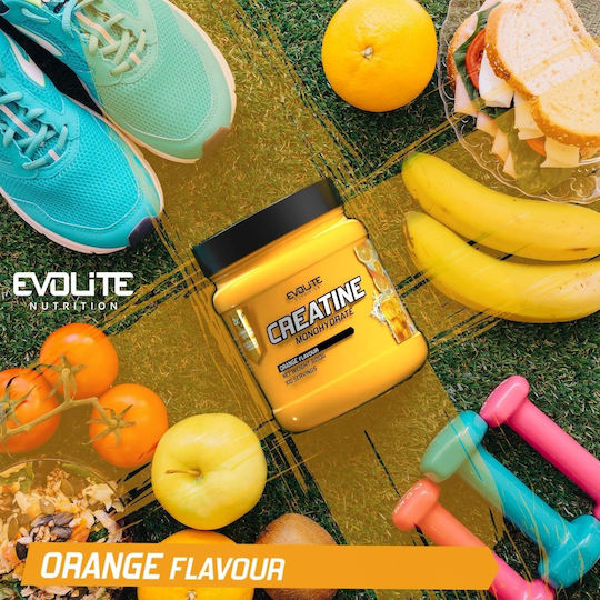 Evolite Creatine Monohydrate Orange 500gr