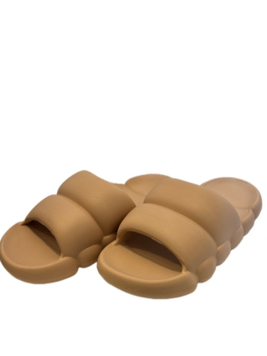 Slides