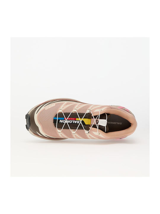 Xt-6 Sport Shoes Trail Running Mahogany Rose / Earthb / Flamin