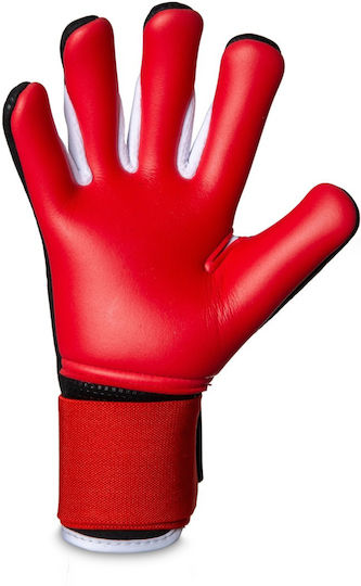 TW Sport Adults Goalkeeper Gloves Black