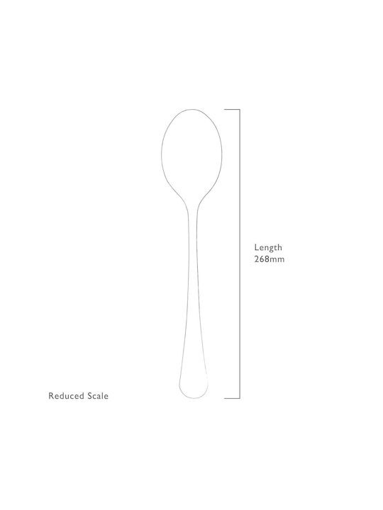 Robert Welch Löffel Rostfreier Stahl Silber RADBR1050XL