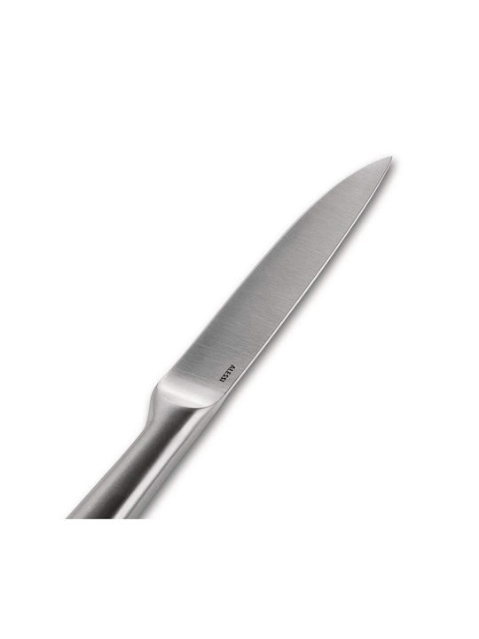 Alessi Messer Für Allgemeine Verwendung Aus Rostfreiem Stahl 24cm