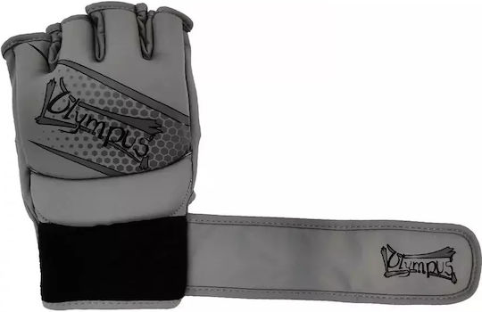 MMA Fight Gloves Olympus Ht Granite