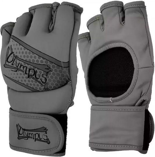 MMA Fight Gloves Olympus Ht Granite