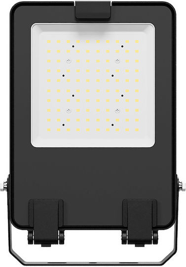 Aca Στεγανός Προβολέας LED 50W Φυσικό Λευκό 4000K IP66