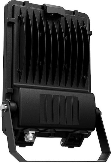 Aca Στεγανός Προβολέας LED 50W Θερμό Λευκό 3000K IP66