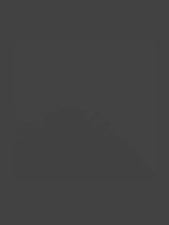 vidaXL Lemn Raft Depozitare lemne 50x23x100cm Negru