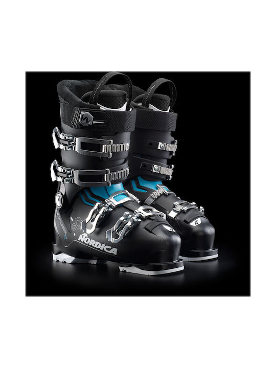 Nordica Cruise S W Nordica Cruise S W