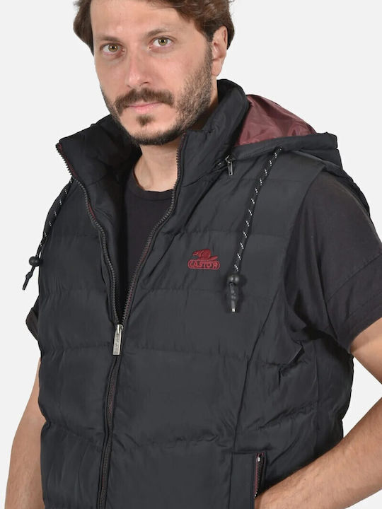 Castor