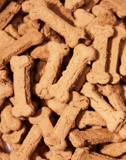 KYON Biscuiți pentru câini cu Dovleac și Canabis 75gr