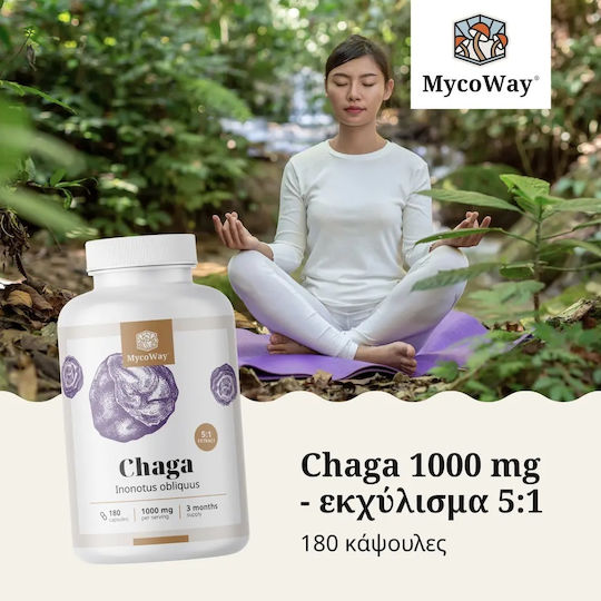 MycoWay Chaga Εκχύλισμα 5:1 1000mg 180 κάψουλες