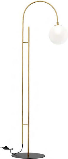 Luma Lampa de podea Î160xL35cm. cu Soclu pentru Bec G9 Auriu
