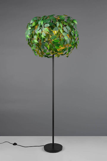 Trio Lighting R404630 Trio Lighting R404630