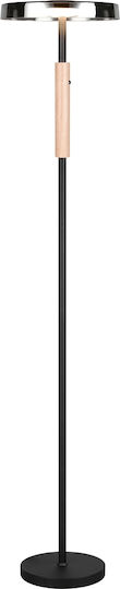 Trio Lighting Celeste LED Stehleuchte H160xB33cm. mit Warmweißem Licht 1750lm Braun