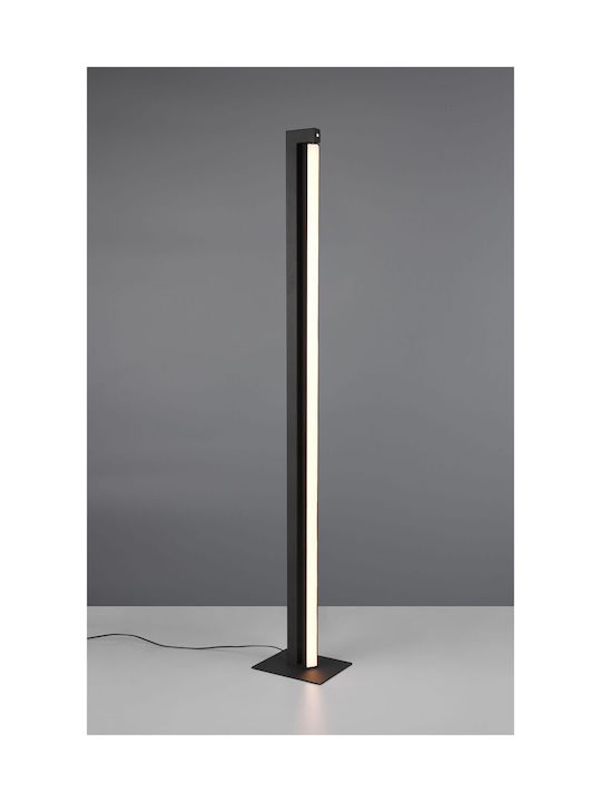 Trio Lighting Floor Lamp Black