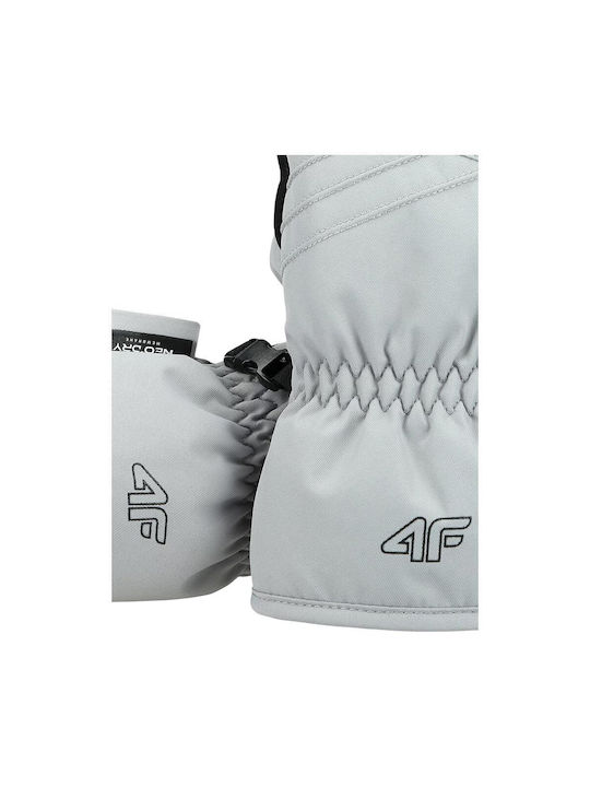 4F 4FWAW24AFGLF145