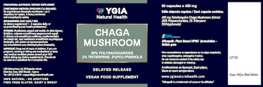 Ygia Chaga Mushroom 6.750mg 60 φυτικές κάψουλες
