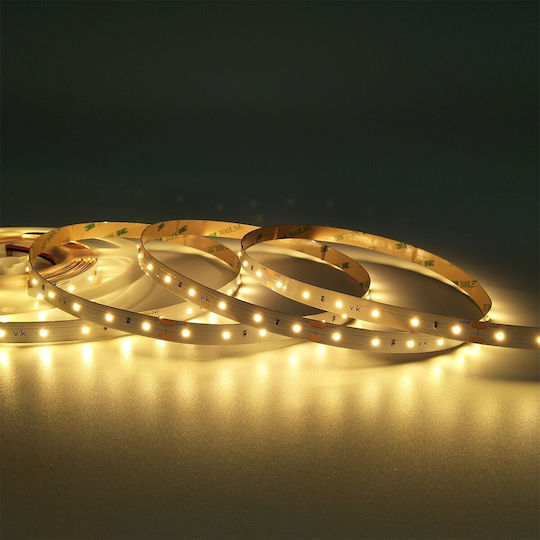VK Lighting Ταινία LED 24V Θερμό Λευκό Φως 5m Τύπου SMD2216