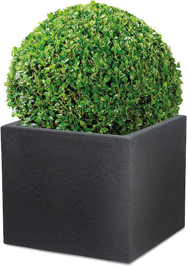Scheurich Plant Pot Plastic Black