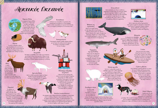 Seas of the World Maps Explorations Animals & Everything You Need to Know