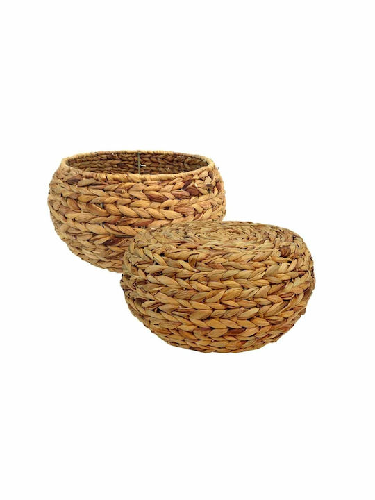 Art et Lumiere Hyacinth Planter Κασπώ Ψάθινο Καφέ